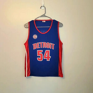 NBA Detroit Pistons custom made in the USA basketball Jersey Maxiell #54 LOT A